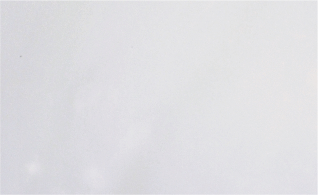 Ice White Onyx